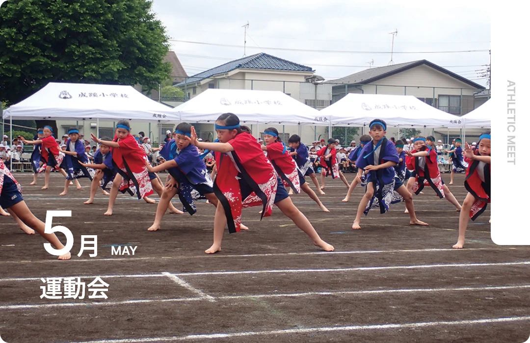 5月