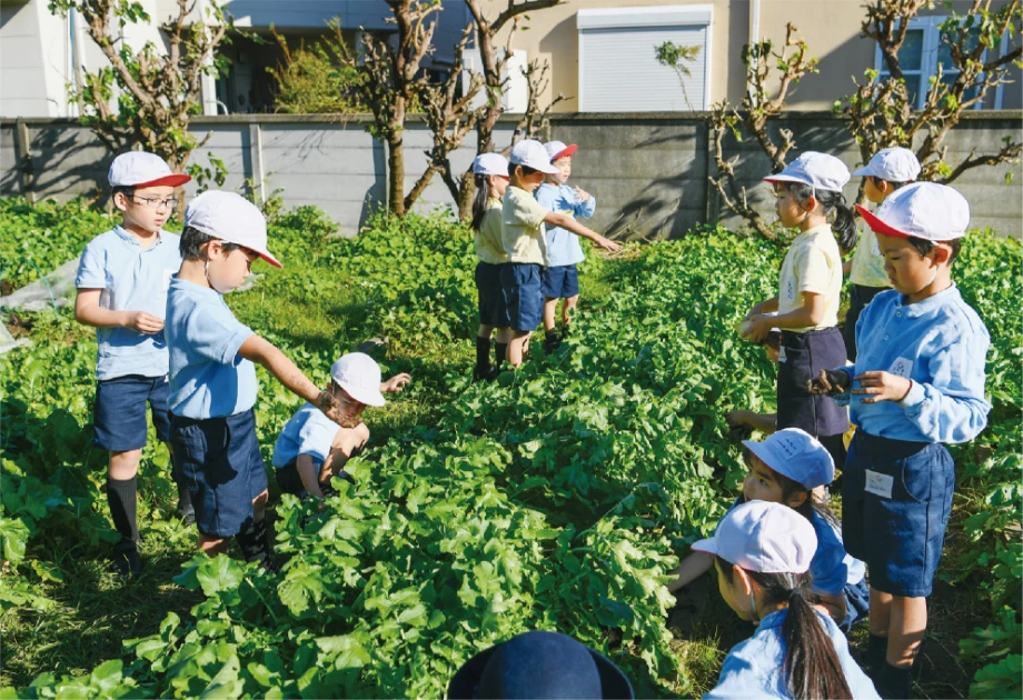 小学校園芸場