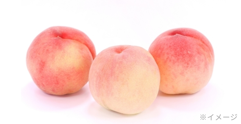 旬のモモ 食べくらべセット 3個入