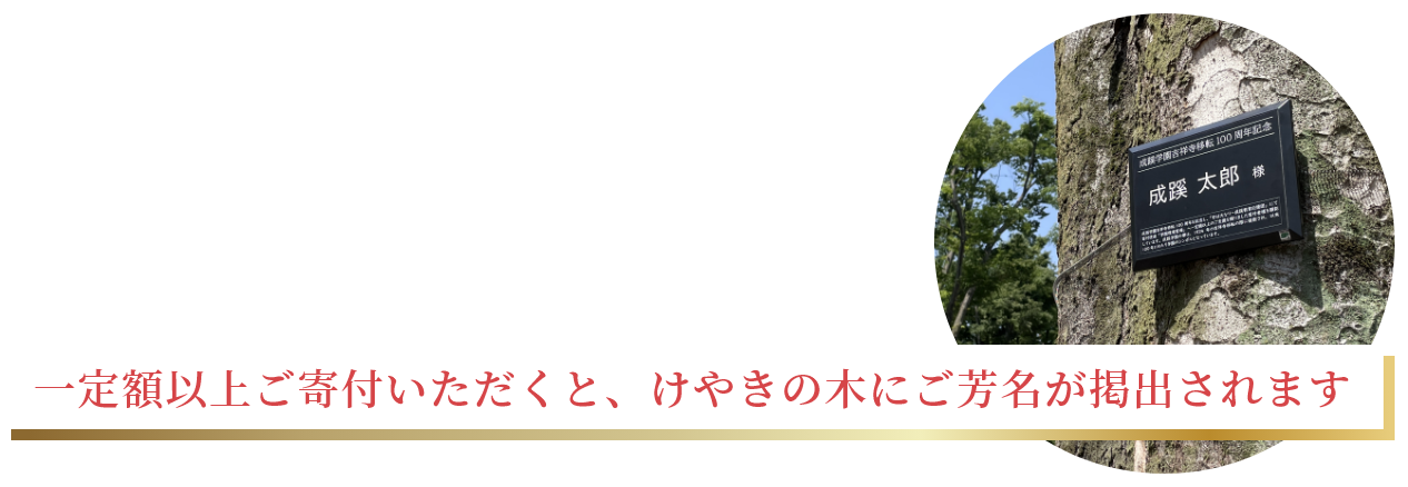 一定額以上ご寄付いただくと、けやきの木にご芳名が掲出されます