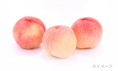 旬のモモ食べくらべセット