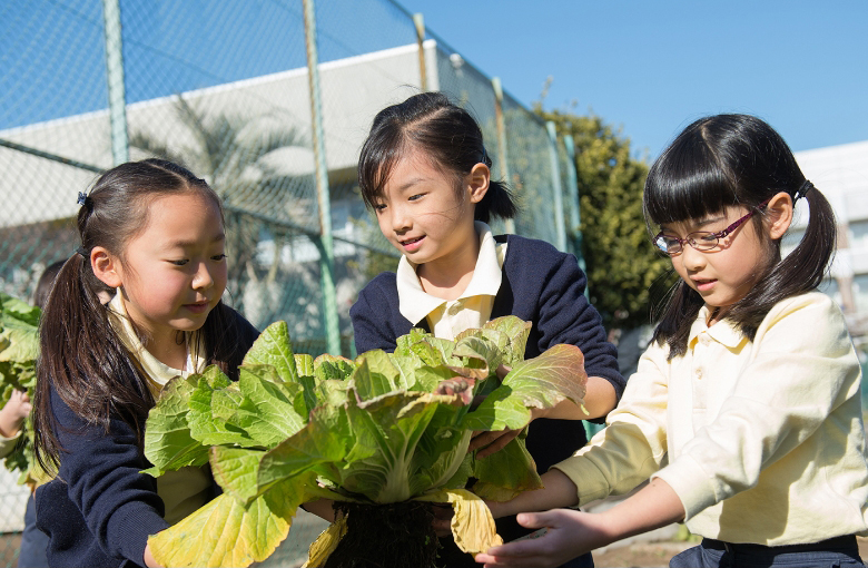 Seikei Education and Research Center for Sustainable Development