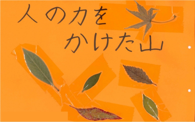 「栃木県日光市・足尾の山での植樹活動」
