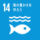 sdg_icon_14_ja80×80.png