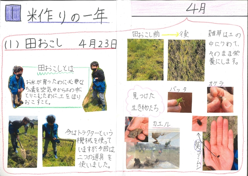 田んぼで守れるものがある~米作りの一年を通して~