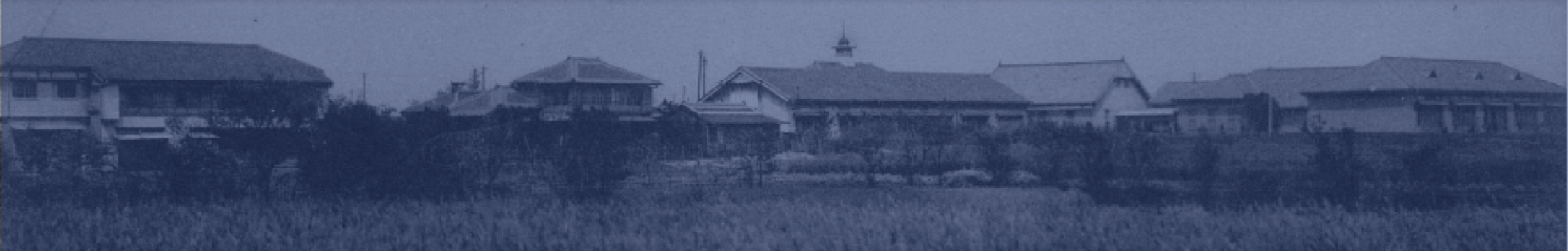 池袋に開校した5つの学校