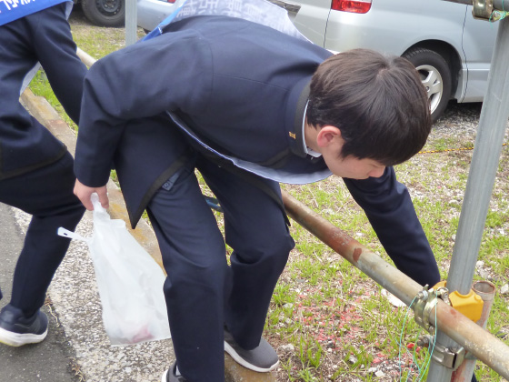 道端の小さなごみも拾います。