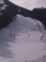 インハイ001-thumb-autox200-6850.jpg