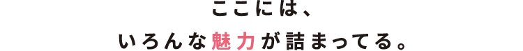 ここには、いろんな魅力が詰まってる。