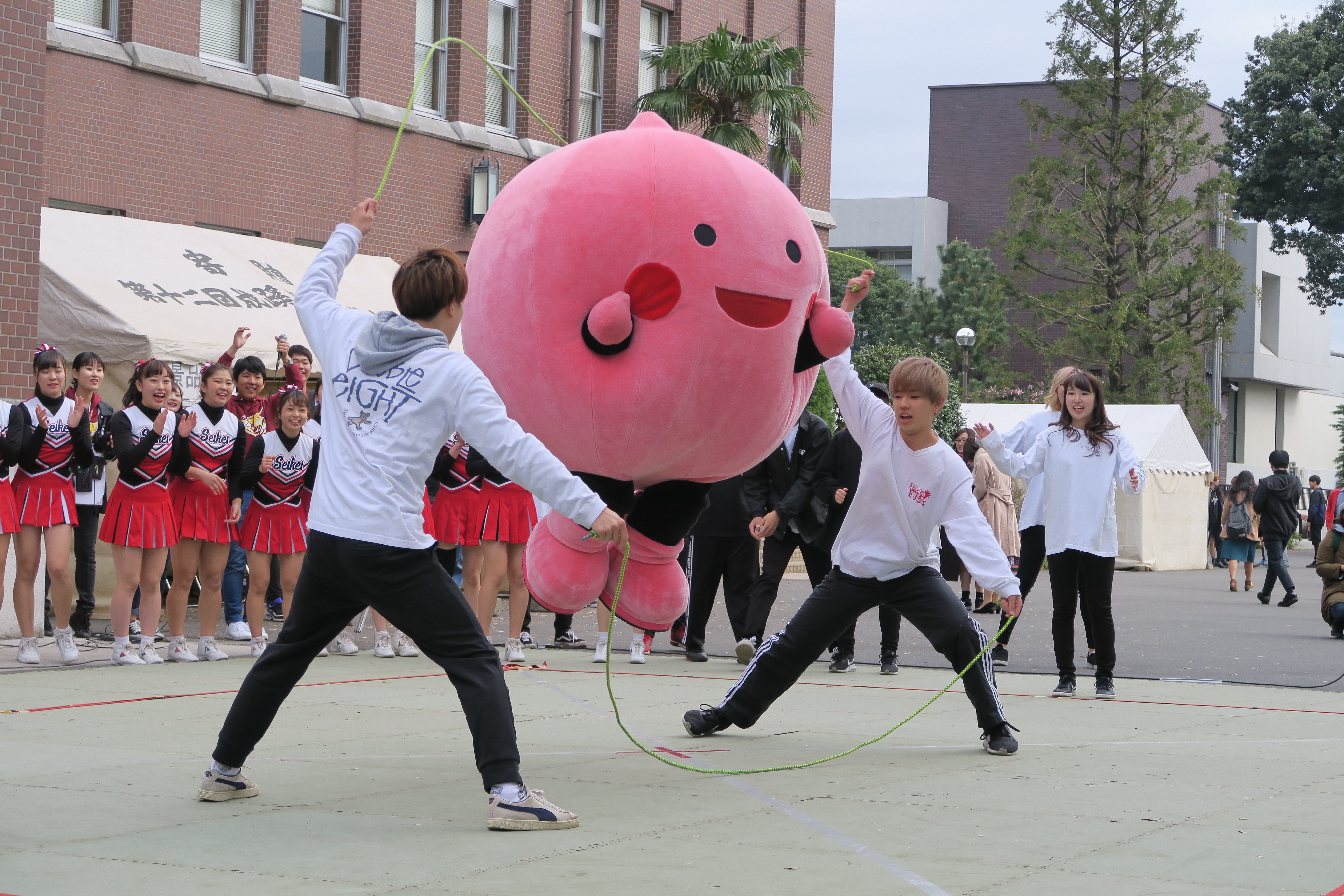 欅祭運営に関するご支援のお願い Information キャンパスライフ 成蹊大学