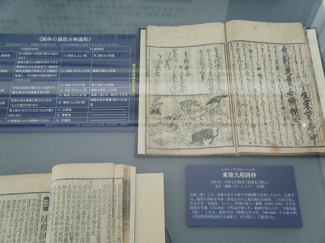 成蹊大学                        図書館                                    イベント・企画展示