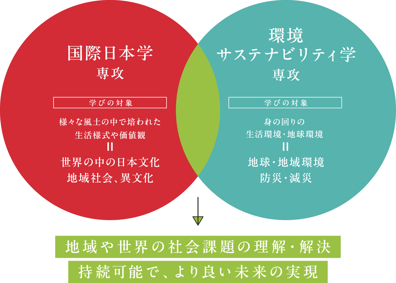 （地域や世界の）社会課題の理解・解決／持続可能で、より良い未来の実現