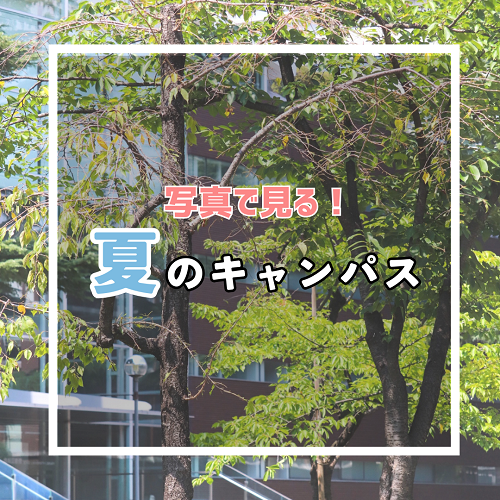 夏サムネ.png