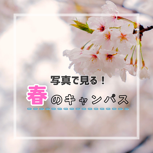 サムネイル (4).png