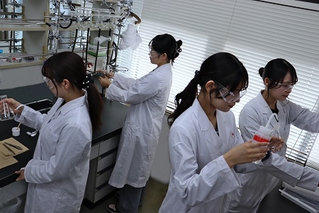 機能性分子触媒研究室