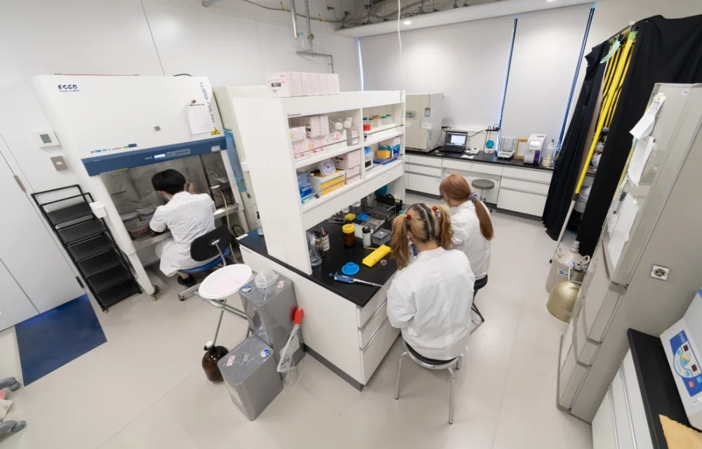 新棟：理工学部エリア イメージ01