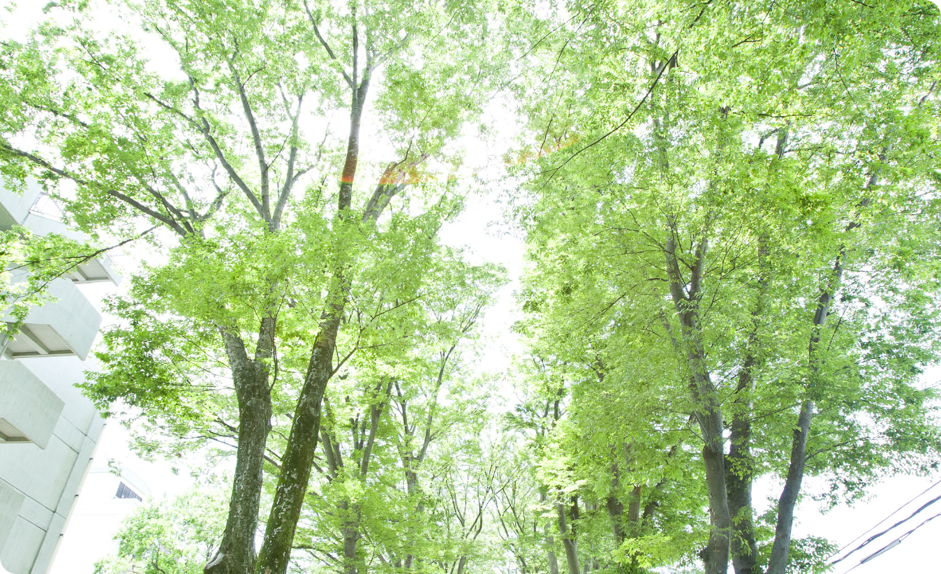 吉祥寺ブリリアント奨学金
<small>（地方出身学生予約型奨学金）</small>
